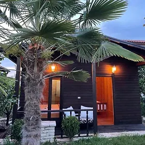 Blen Grand Albania